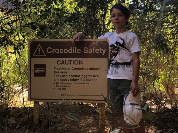 Crocodile Safety